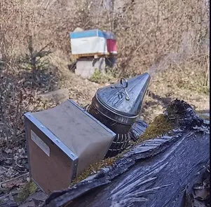 Un enfumoir posé près d’une ruche